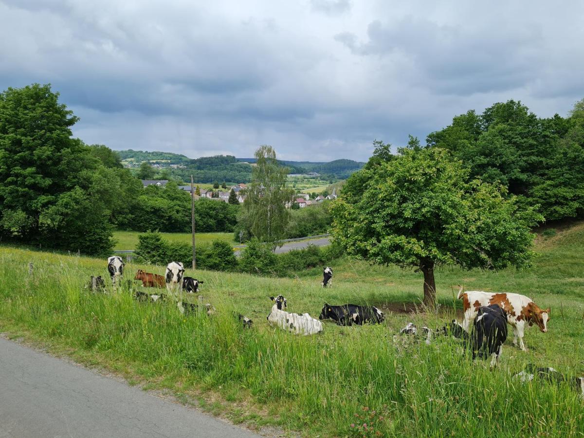 Gasthaus Paula Üdersdorf Dış mekan fotoğraf